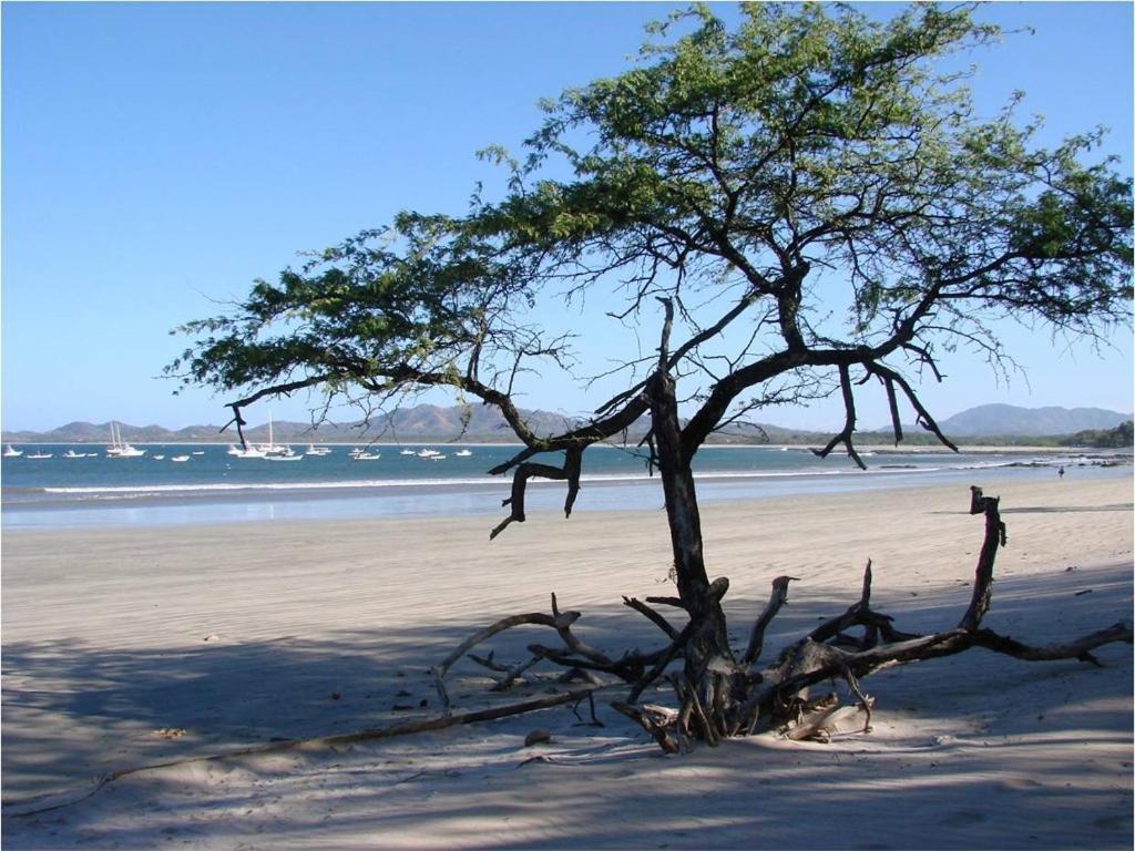 Jet Luxury at Langosta Beach Resort&Villas Tamarindo Exterior foto